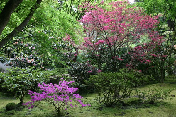 May day in Japanese Garden
