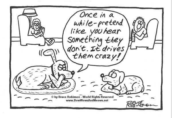 BOW WOWS & MEOWS® DOG Cartoon - 