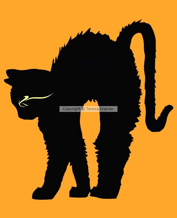 Halloween cat (Black & Orange)