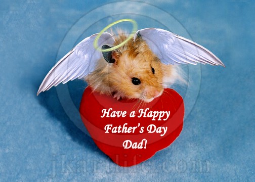 Father's Day Dad Angel Hamster 905970