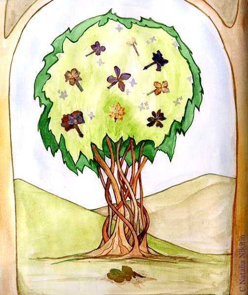 Lilac Tree