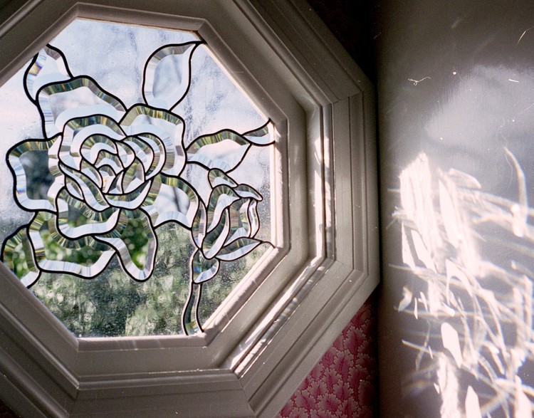 Mary's Beveled Roses In Sunlight