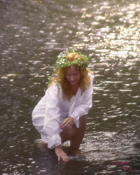 Beautiful Faerie in the river