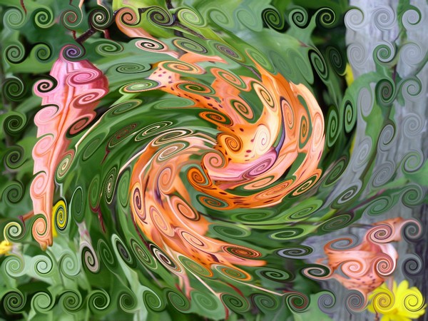 Abstract Tiger Lilies