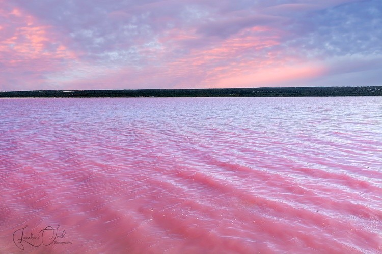  Pink Lake 