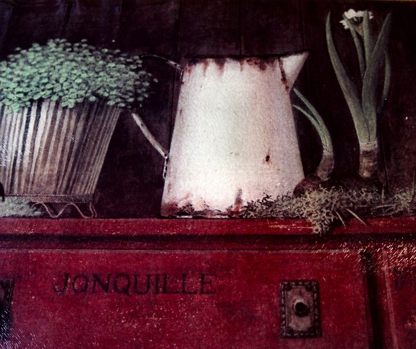 Watering Can and Herbs 