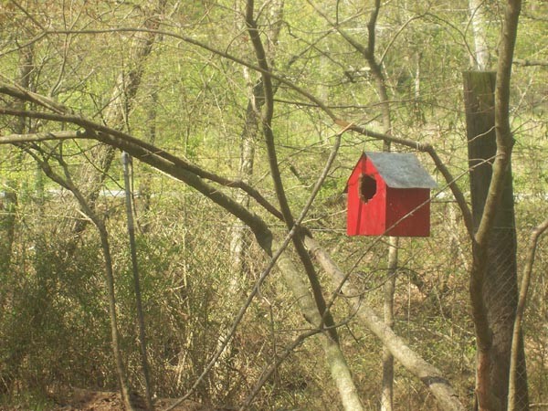 Red Birdhouse at Yellow River Game Ranch