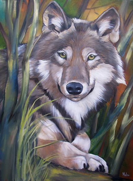 Lobo ( Wolf )