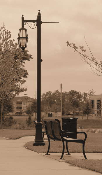 Park Bench