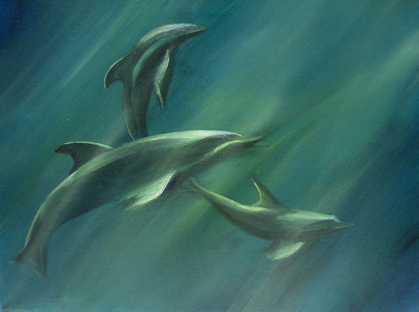 Dolphins at Play in the Deep Blue Sea