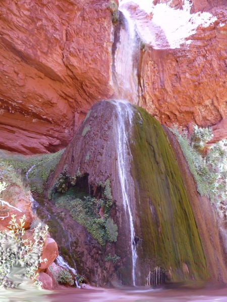 Bird over water fall