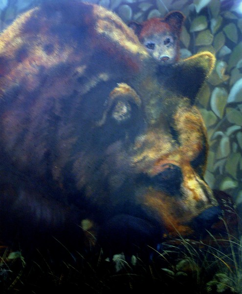 Michigan Black Bear