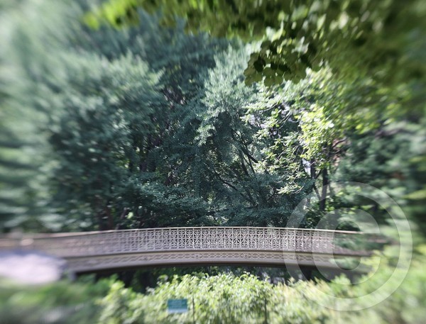 Bridge (Central Park NY)