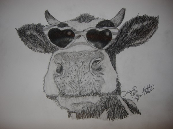 love_struck_cow