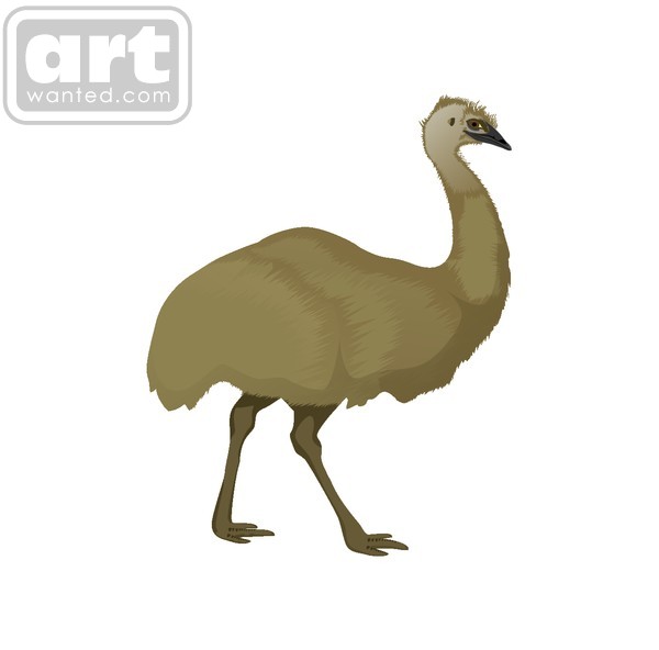Emu (bird)