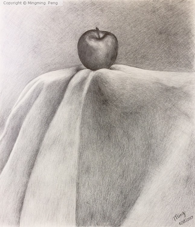 Pencil Sketch