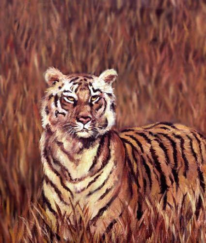 1980's Tiger
