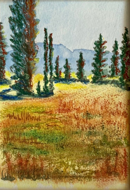 Plein-air Albion Basin