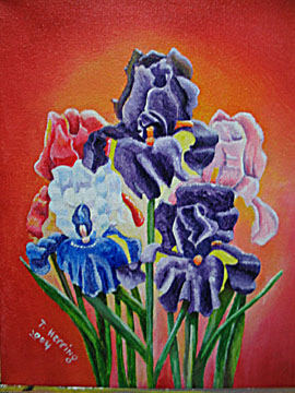 BEARDED IRIS on CANVAS