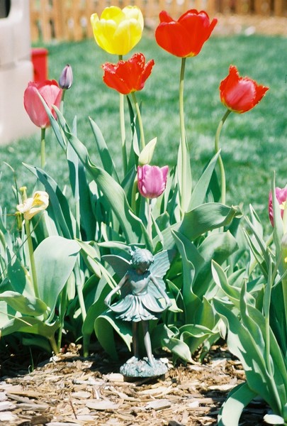 Fairy among the flowers