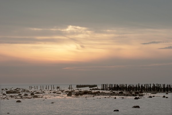 Oyster beds at Allonby