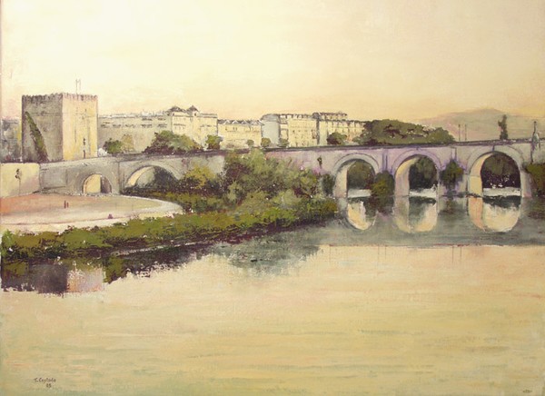 Puente Romano.Cordoba