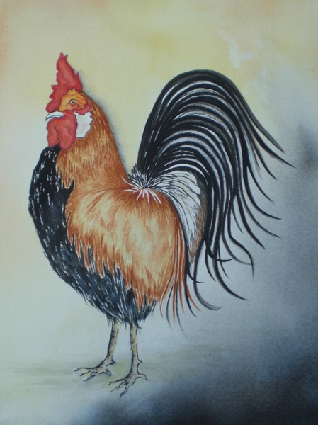 Rio Rooster