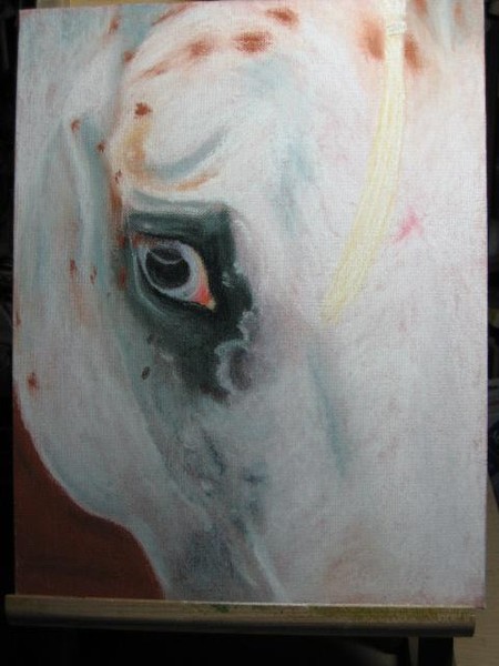 Pastel on canvas board, appy eye