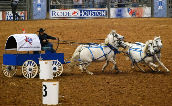 Chuck wagon Races