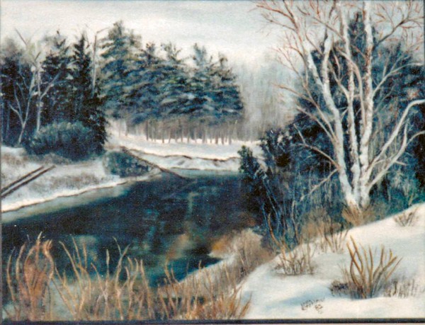 Van Etten Creek in Winter