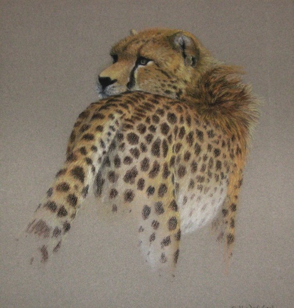 Pastel - Cheetah