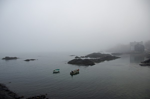 Foggy Shoreline 11/27/2011