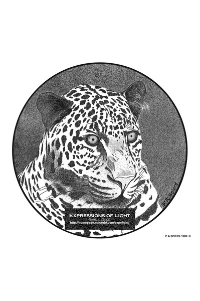 ExpoLight-Graphic-Arts-Leopard-0001M (Sample Proof