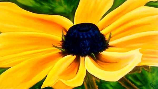 Yellow flower 02