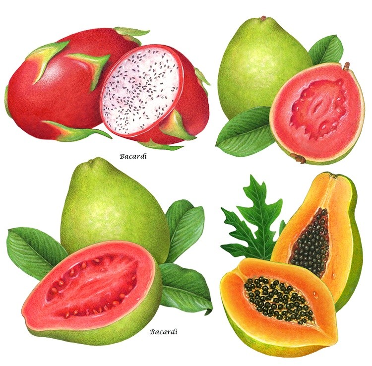 Tropical Fruit Illustrations
