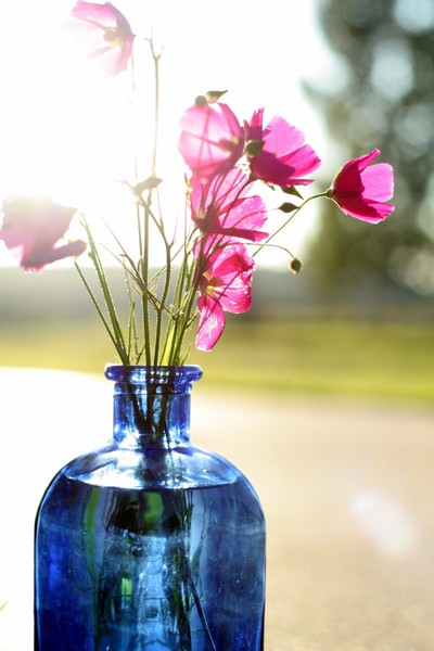 Poppy Bouquet in Blue Bottle