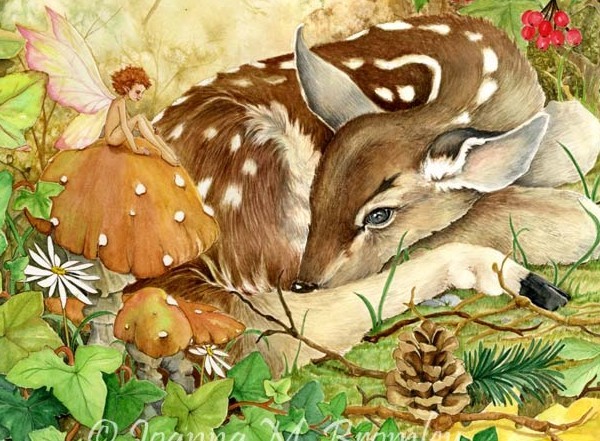 Resting Fawn