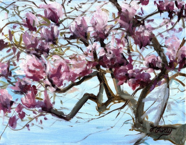 Magnolias in Violetwood