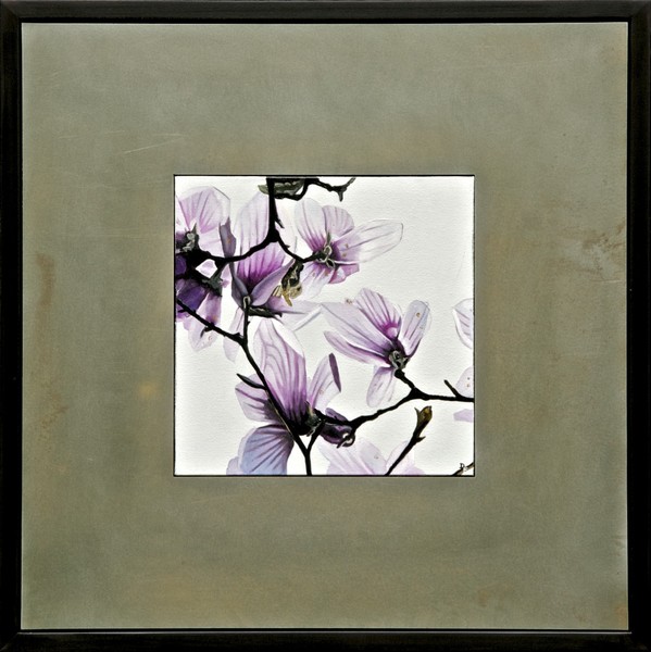 Purple Magnolias #1