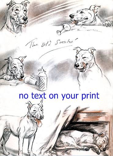 Pit Bull  print from Diana Thorne's Dogs