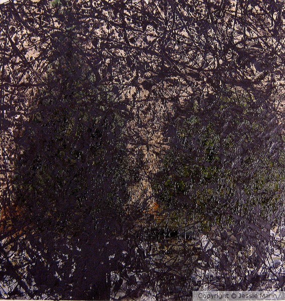TWO BUSHES 2006 24X24 Oil on panel