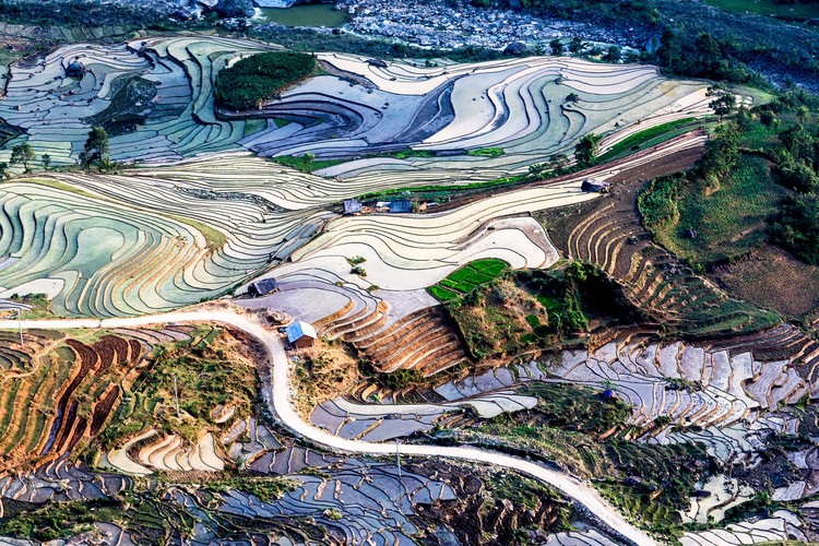 Beauty of rice terraces