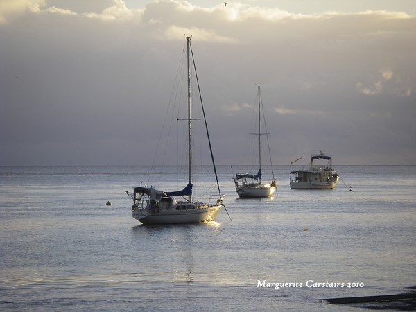 Morning Light