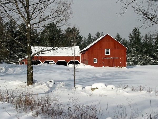Bondville Farmhouse