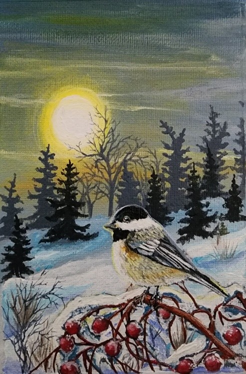 Chickadee in winter