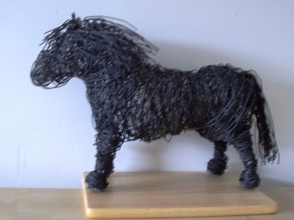 Shetland pony 