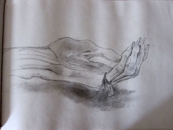 Autopsy Study HAND