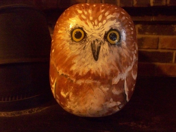 Young Owl II