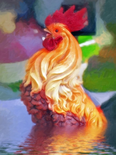 Wading Rooster