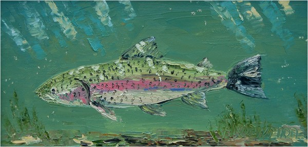 Rainbow Trout by Alison Vernon